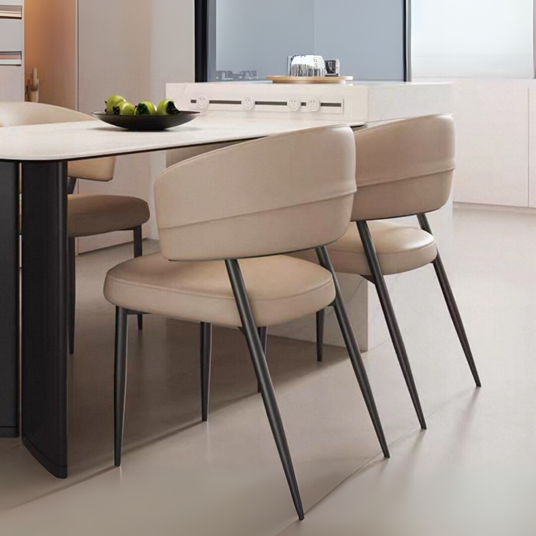 TEDIAN Modern Dining Chair - Radical Homes Singapore