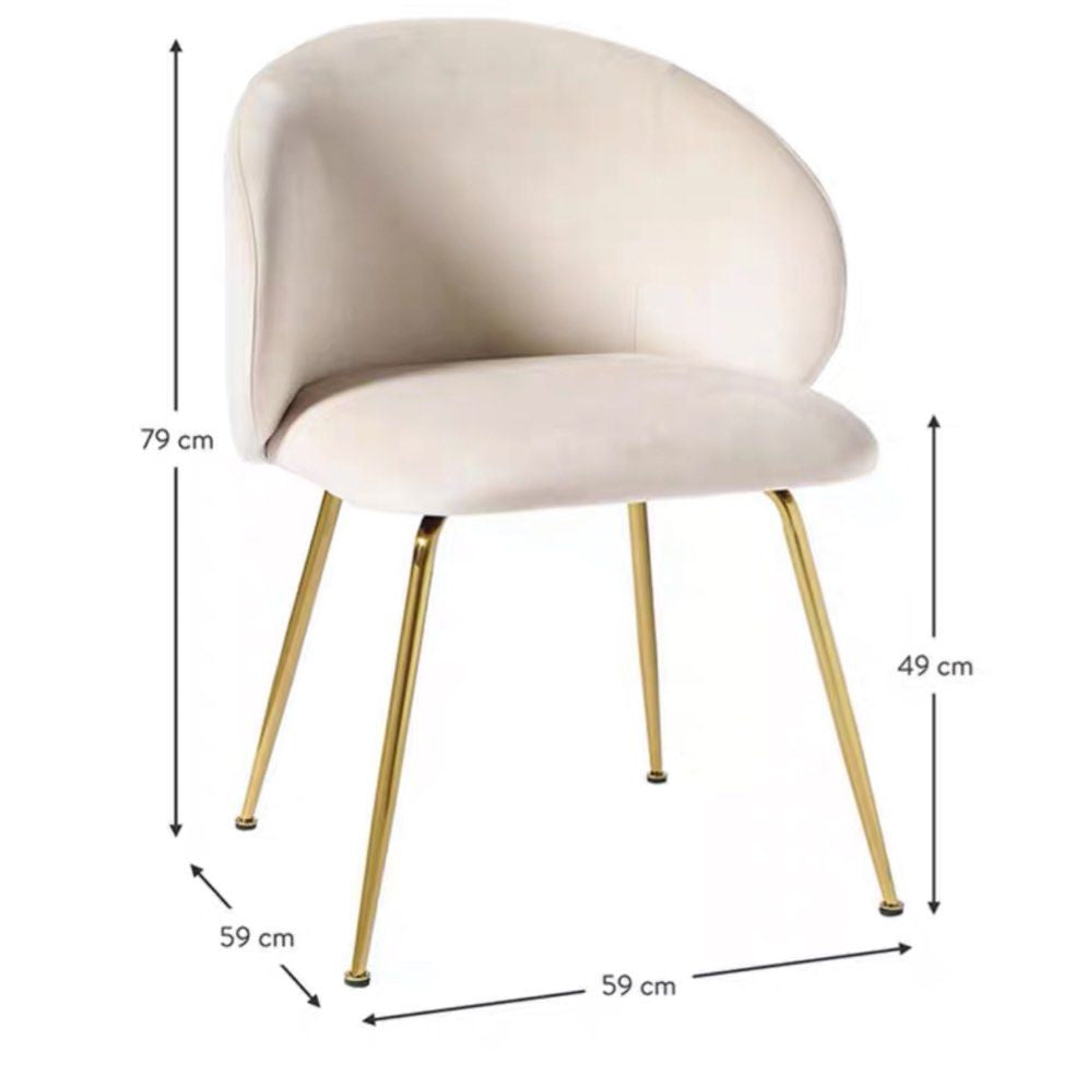 ARMON Modern Dining Chair - Radical Homes Singapore