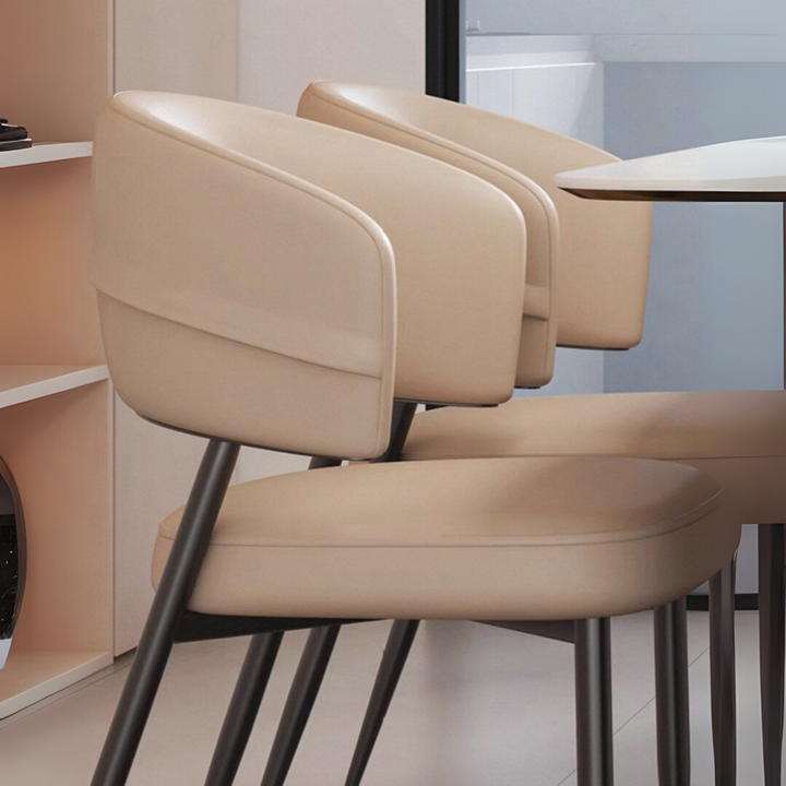 TEDIAN Modern Dining Chair - Radical Homes Singapore