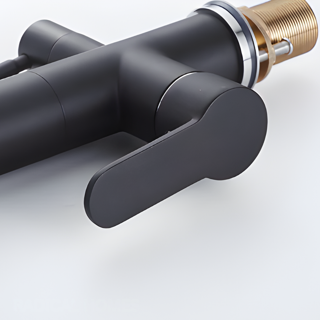 HART Modern Black Double Tap Faucet