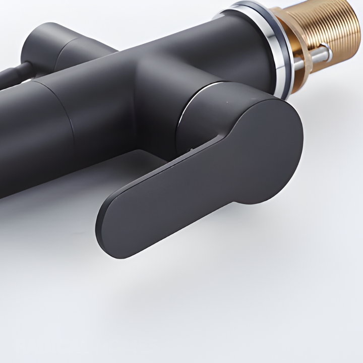 HART Modern Black Double Tap Faucet