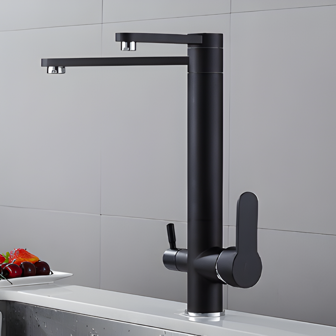 HART Modern Black Double Tap Faucet