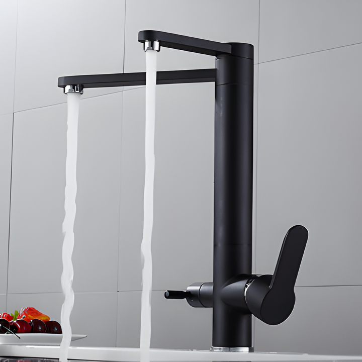 HART Modern Black Double Tap Faucet