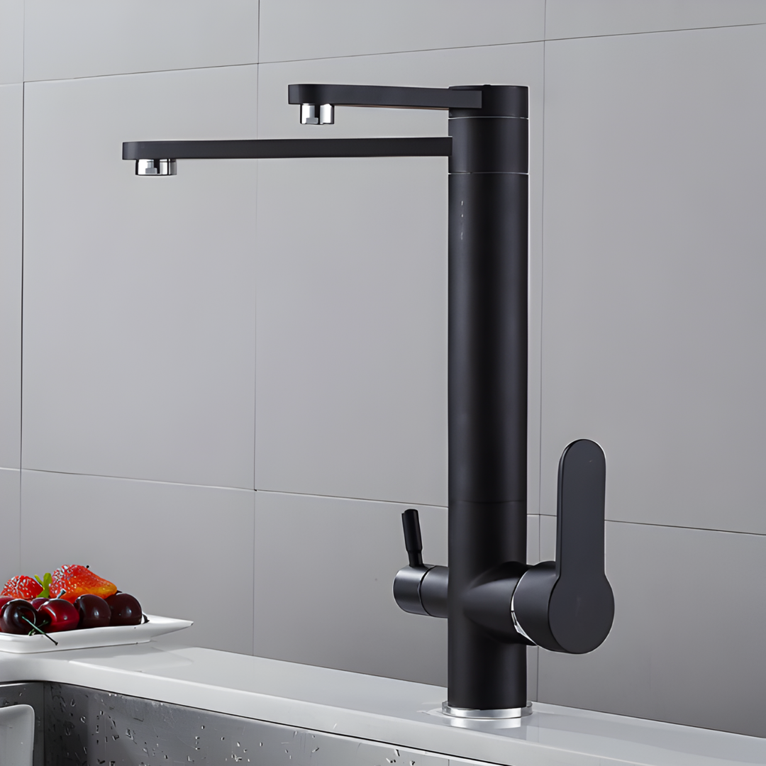 HART Modern Black Double Tap Faucet