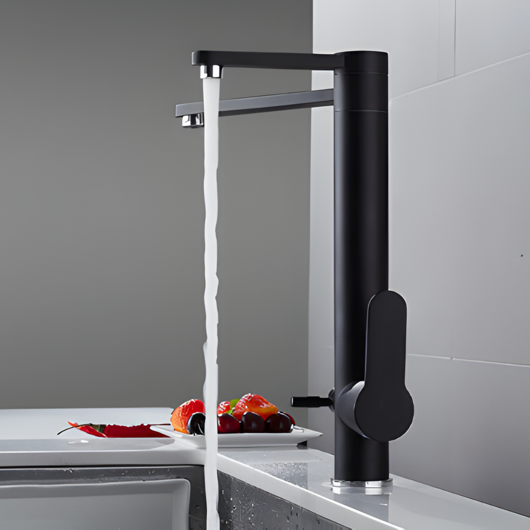 HART Modern Black Double Tap Faucet