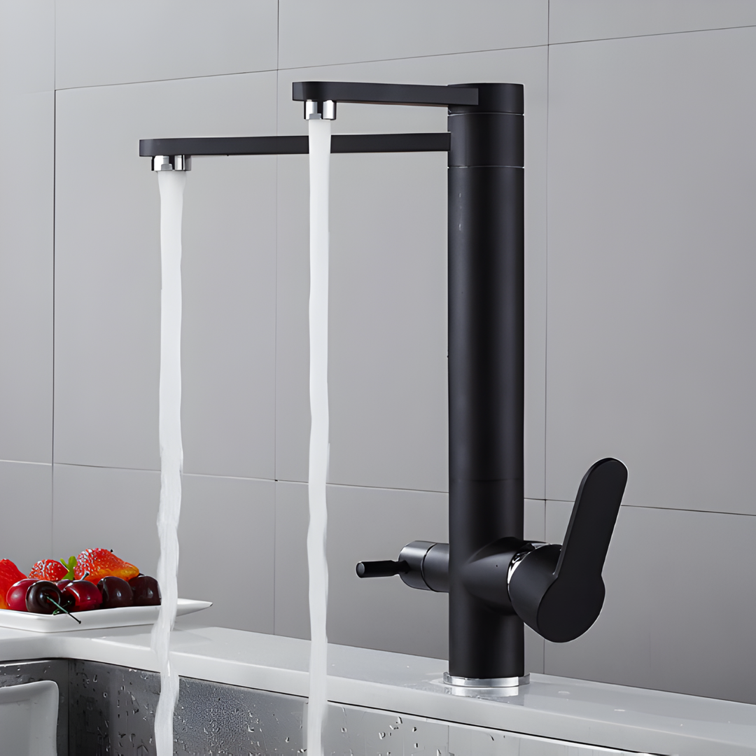 HART Modern Black Double Tap Faucet