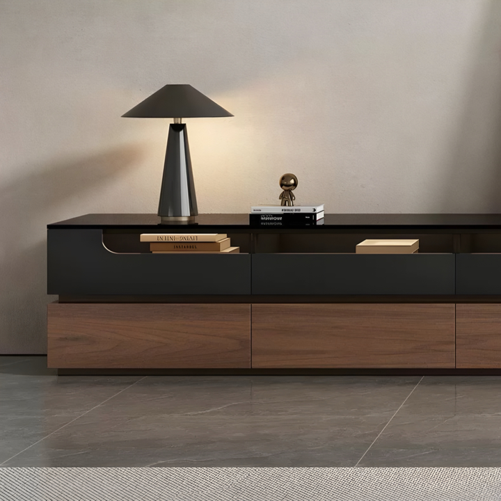 DUALIS Modern TV Console Cabinet