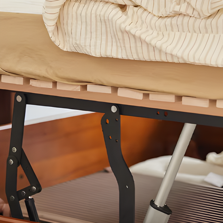 ZENTRIK Modern Electric Solid Wood Storage Bedframe