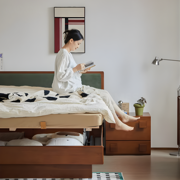 ZENTRIK Modern Electric Solid Wood Storage Bedframe