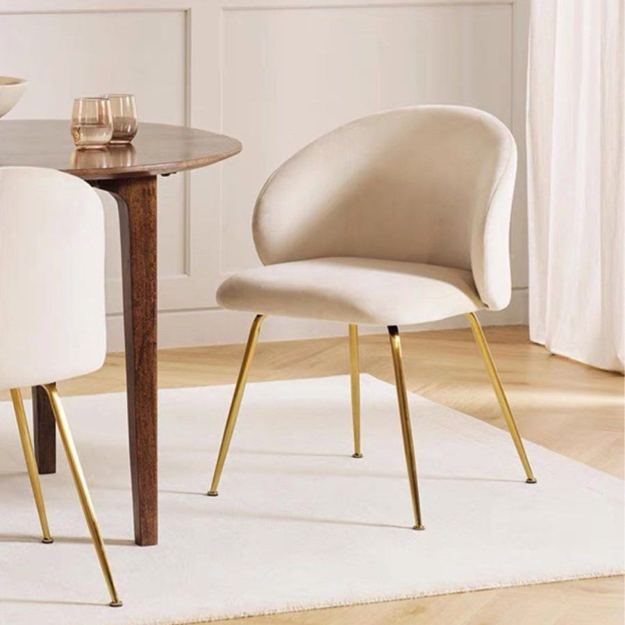ARMON Modern Dining Chair - Radical Homes Singapore