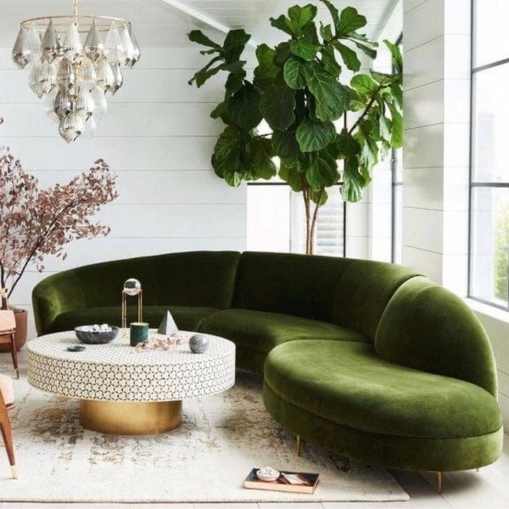 AMARISQUE Modern Curve Velvet Sofa - Cassa Haus Singapore