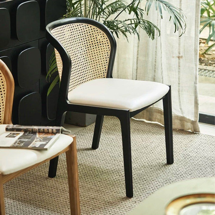 NUOVO Modern Solid Wood Dining Chair - Radical Homes Singapore