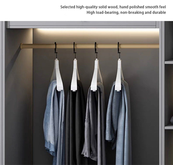 DERRICK Modern Glass LED Wardrobe - Radical Homes Singapore