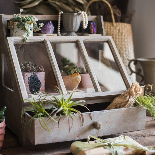 ROVELLO Vintage Display Box - Cassa Haus Singapore