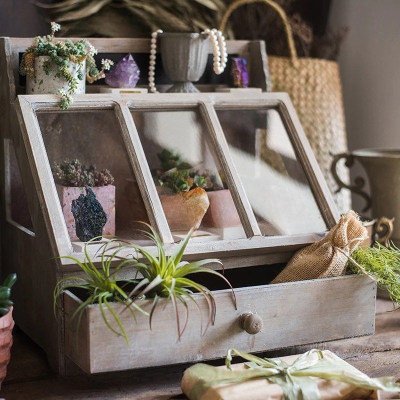 ROVELLO Vintage Display Box - Cassa Haus Singapore