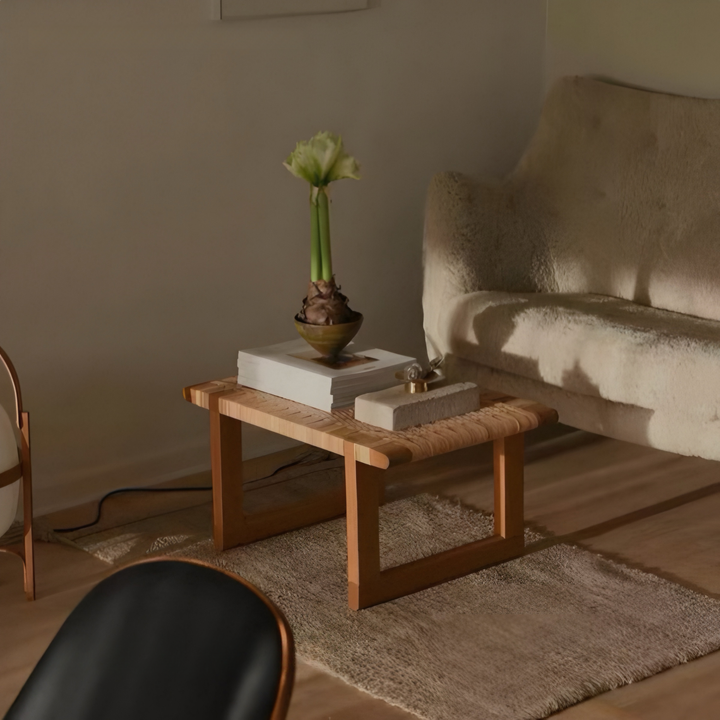 ORVENA Rustic Rattan Bench - Cassa Haus Singapore