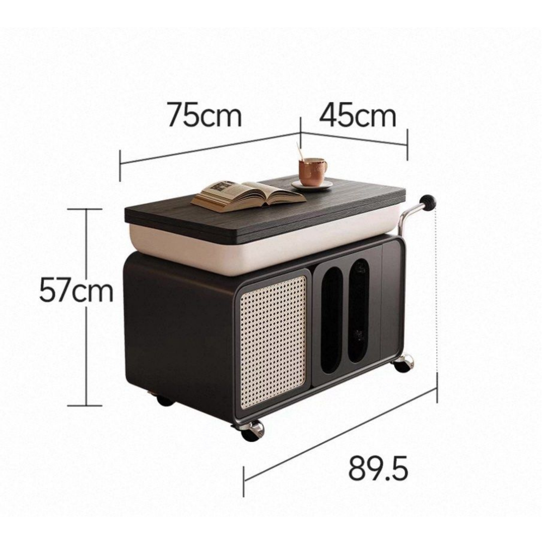 OLKI Modern Rustic Coffee Table with Storage - Radical Homes Singapore
