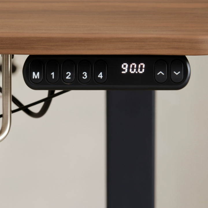PAXTON Modern Electric Adjustable Study Table