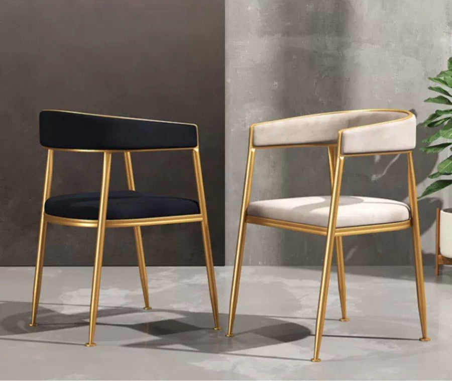 BANE Modern Dining Chair - Radical Homes Singapore