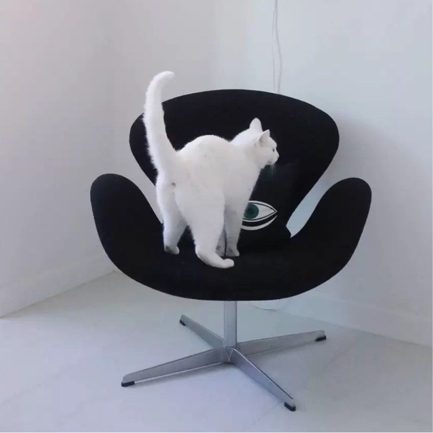 DINO Modern Swivel Lounge Chair