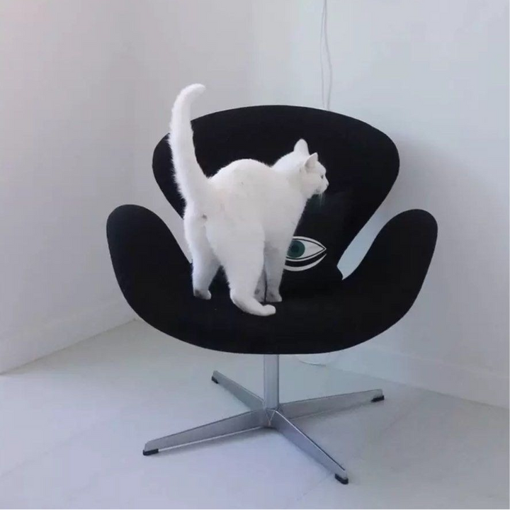 DINO Modern Swivel Lounge Chair