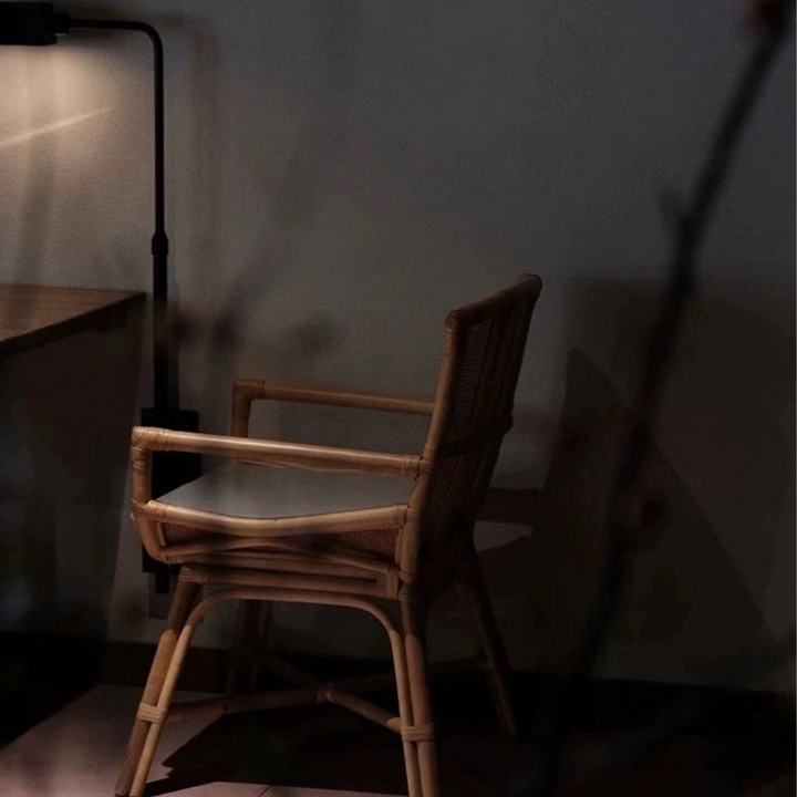 NEISTA Indoor/Outdoor Rattan Chair - Radical Homes Singapore