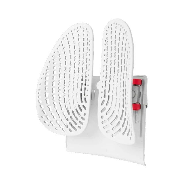 LEBAND Adjustable Lumbar Back Support - Radical Homes Singapore