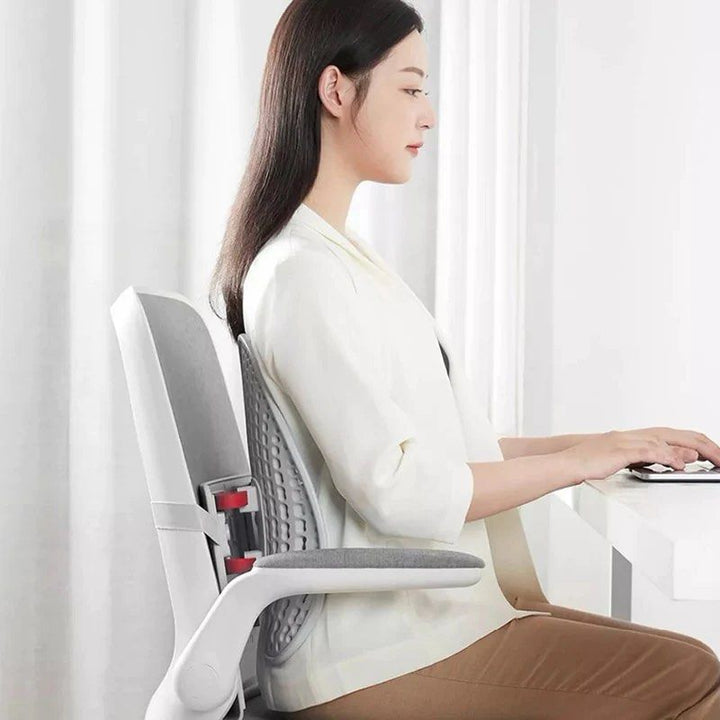 LEBAND Adjustable Lumbar Back Support - Radical Homes Singapore