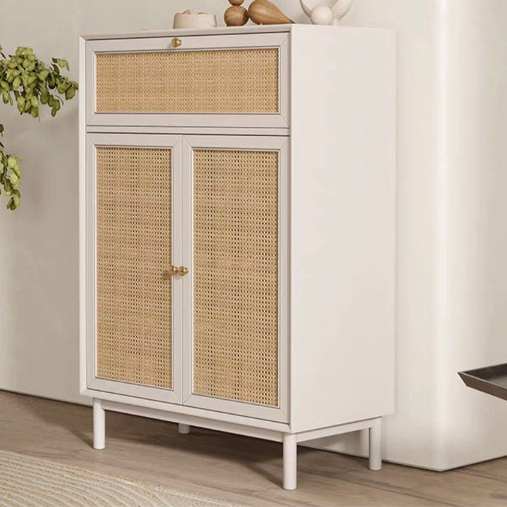 LEISSE Scandinavian Shoe Cabinet - Radical Homes Singapore