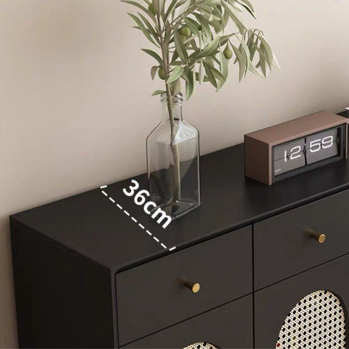 SENVARA Modern Rattan Shoe Cabinet - Cassa Haus Singapore