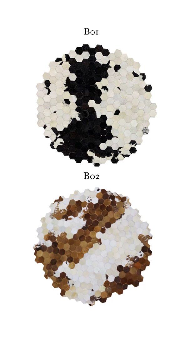 LOTHO Modern Cowhide Leather Rug - Radical Homes Singapore