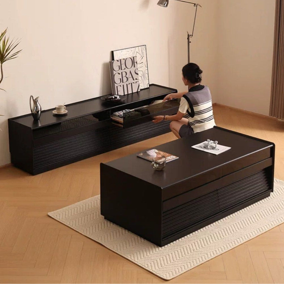 VANTEN Modern Solid Wood TV Cabinet - Radical Homes Singapore