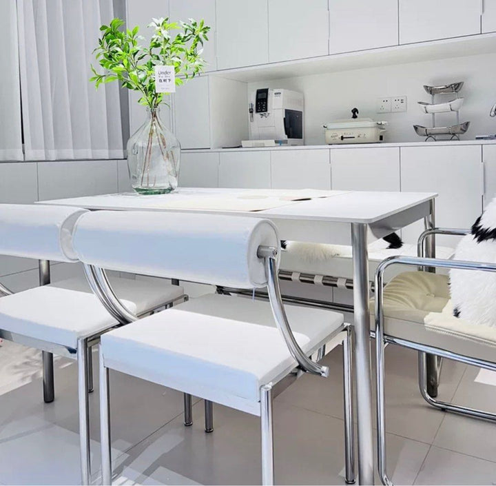 JANA Leather Luxury Dining Chairs - Radical Homes Singapore