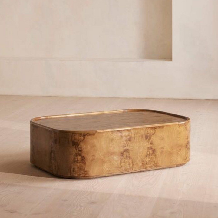SEVRA Modern Mappa Burl Coffee Table - Cassa Haus Singapore