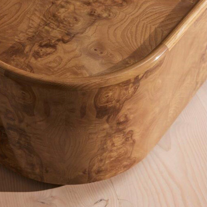 SEVRA Modern Mappa Burl Coffee Table - Cassa Haus Singapore