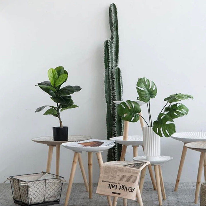 RADE Coffee Table - Radical Homes Singapore