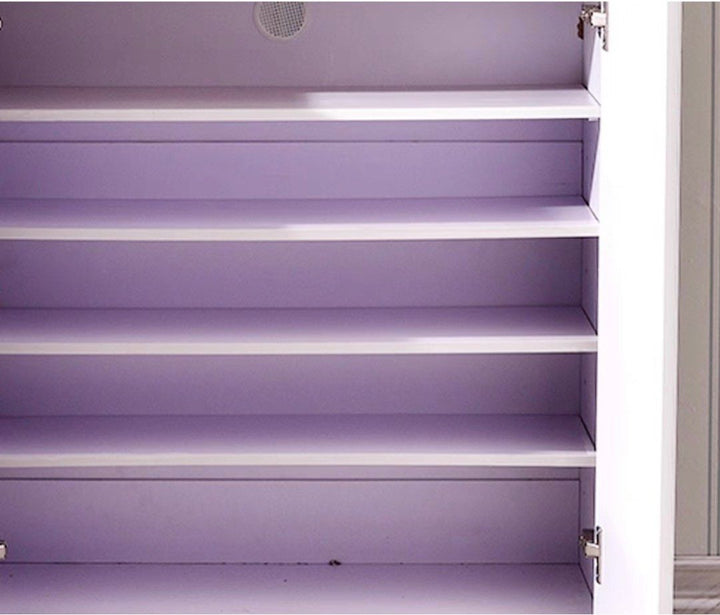 RAISFE Modern Shoe Cabinet - Radical Homes Singapore