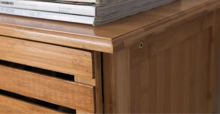 RANEZO Scandinavian Shoe Cabinet - Radical Homes Singapore