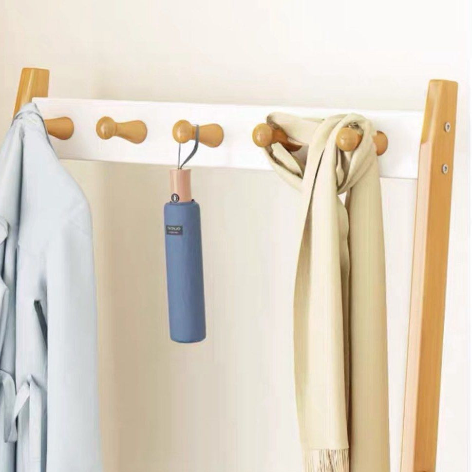 DORIVAL Minimalist Solid Wood Ladder Shelf - Radical Homes Singapore