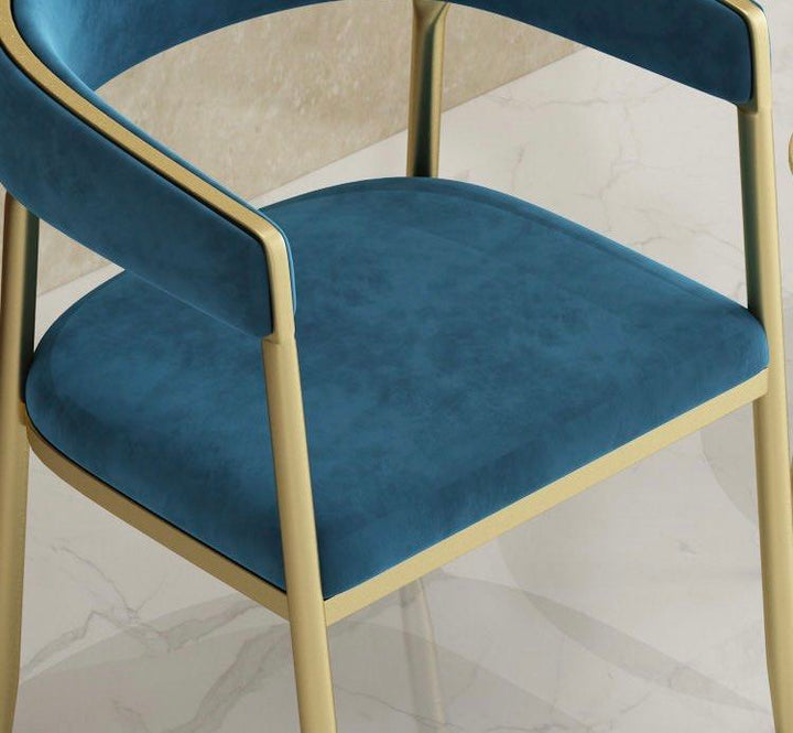 ZYVANTHE Modern Dining Chairs - Cassa Haus Singapore