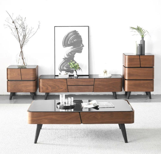 QAVIRO Modern TV Console - Cassa Haus Singapore
